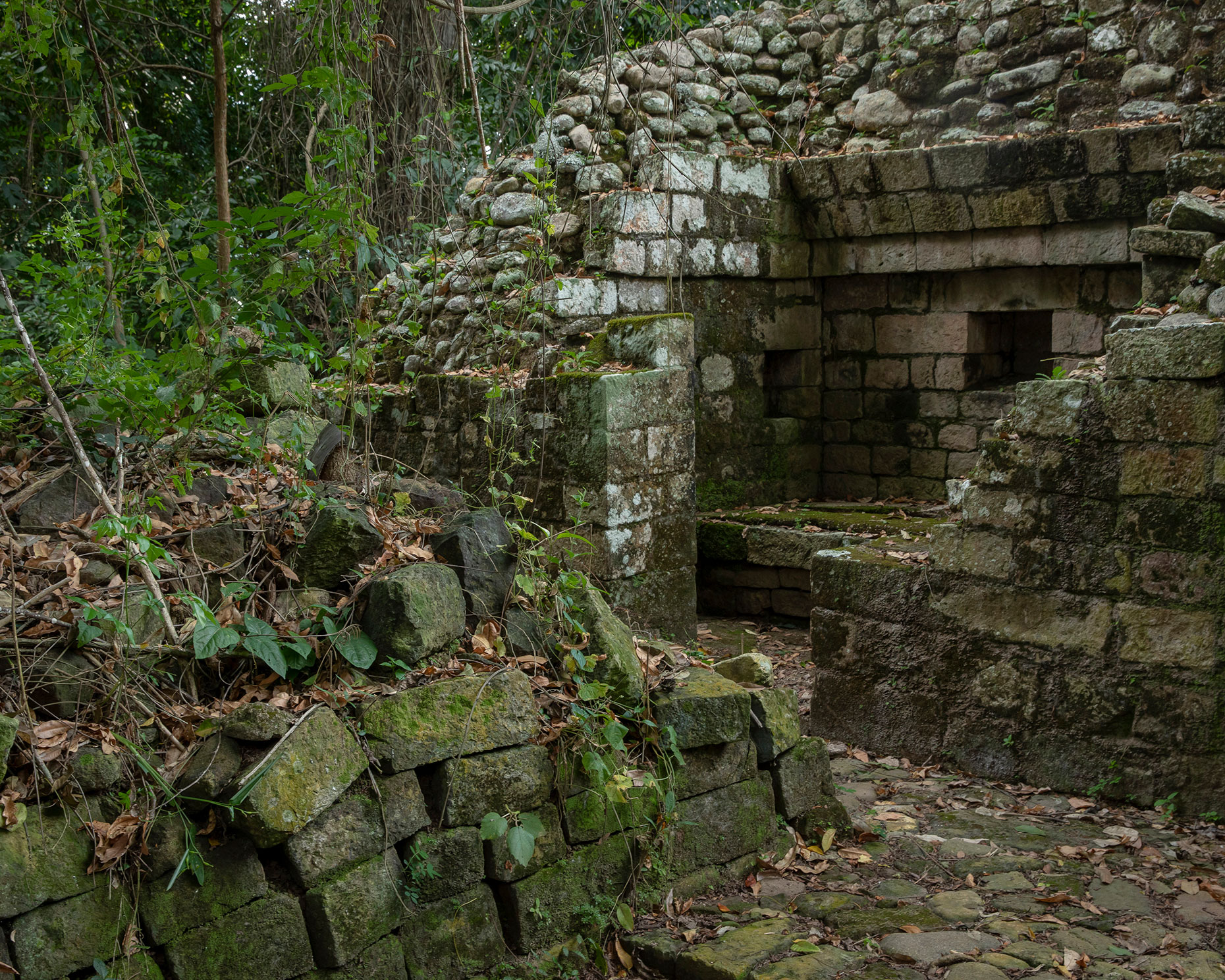 Fabretto_Americas_37