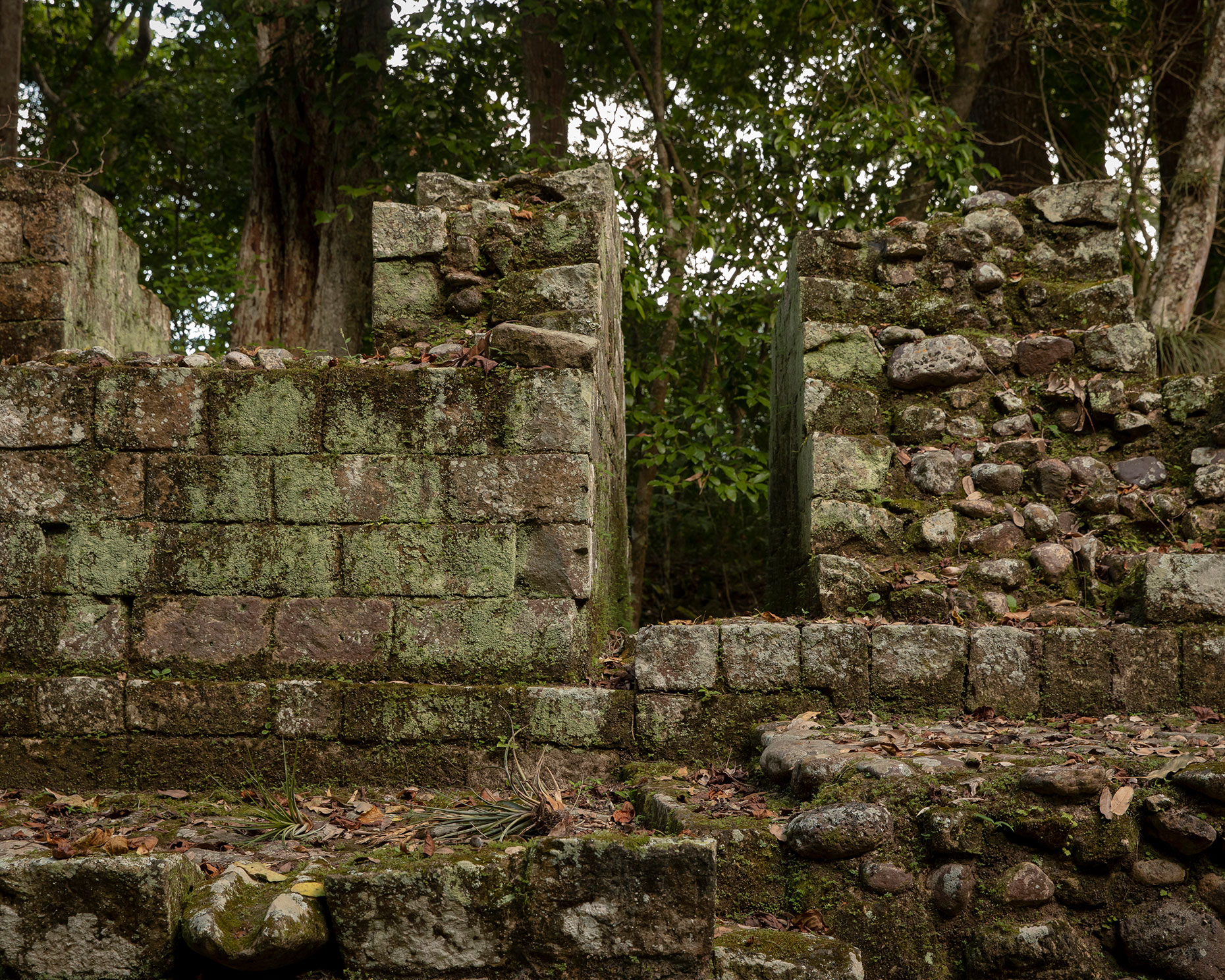 Fabretto_Americas_43